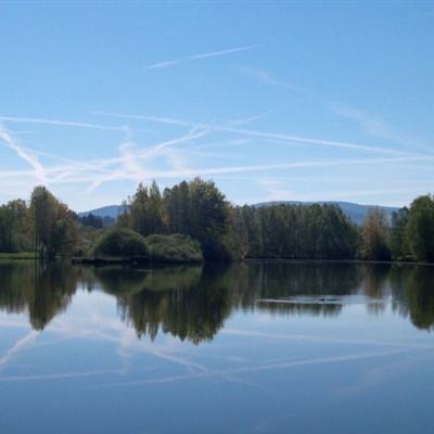 乐动体育app全站下载