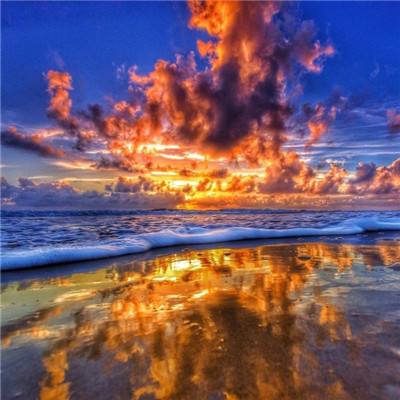 B—sports登录B体育截图